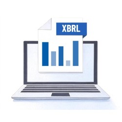 Conversione bilancio abbreviato- Converti bilancio in XBRL