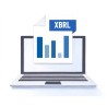 Conversione bilancio ordinario - Converti bilancio in XBRL